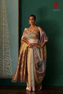 ‘Rang kat’ Benarasi kora silk sari