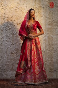 ‘Varya’ Rani pink silk georgette Kalidar lehenga