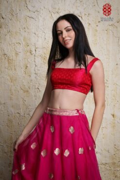 Kora silk skirt appliquéd in antique silver zari motifs